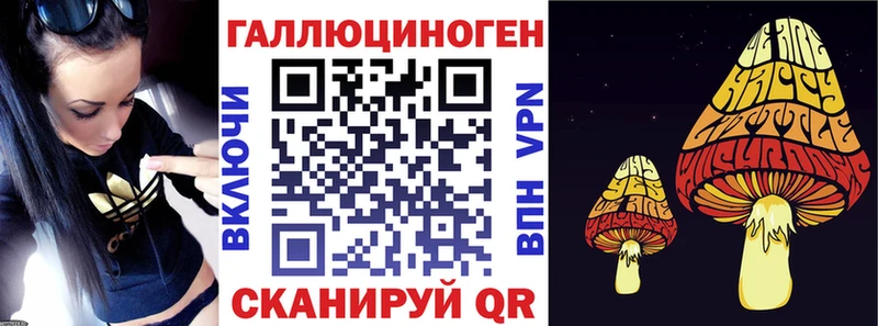 Купить где  Ельня  Галлюциногенные грибы Psilocybine cubensis 